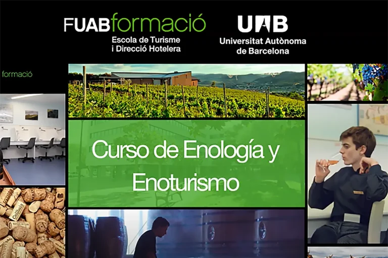 curs especialització enologia i enoturisme UAB