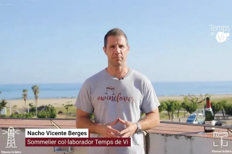 Temps de Vi videos promoció