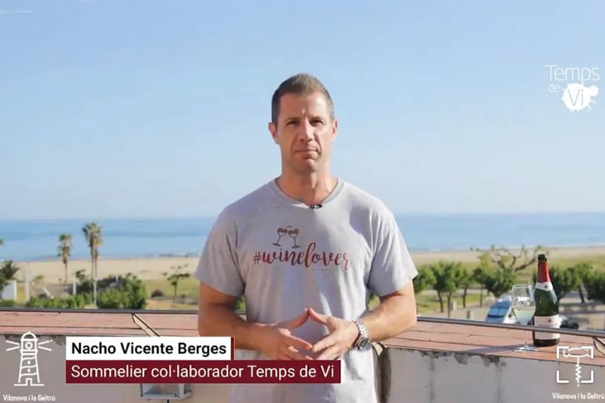 Temps de Vi videos promoció