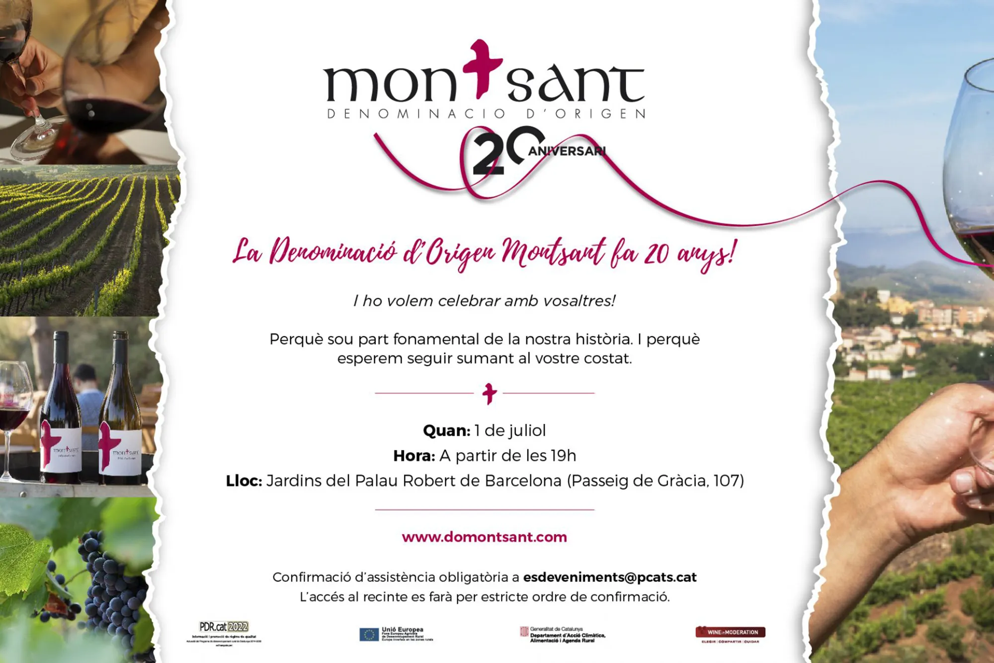 DO Montsant 20 aniversari