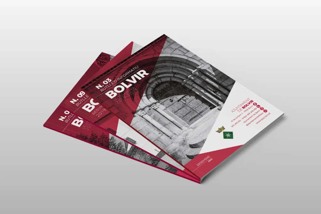 Projecte BOLVIR