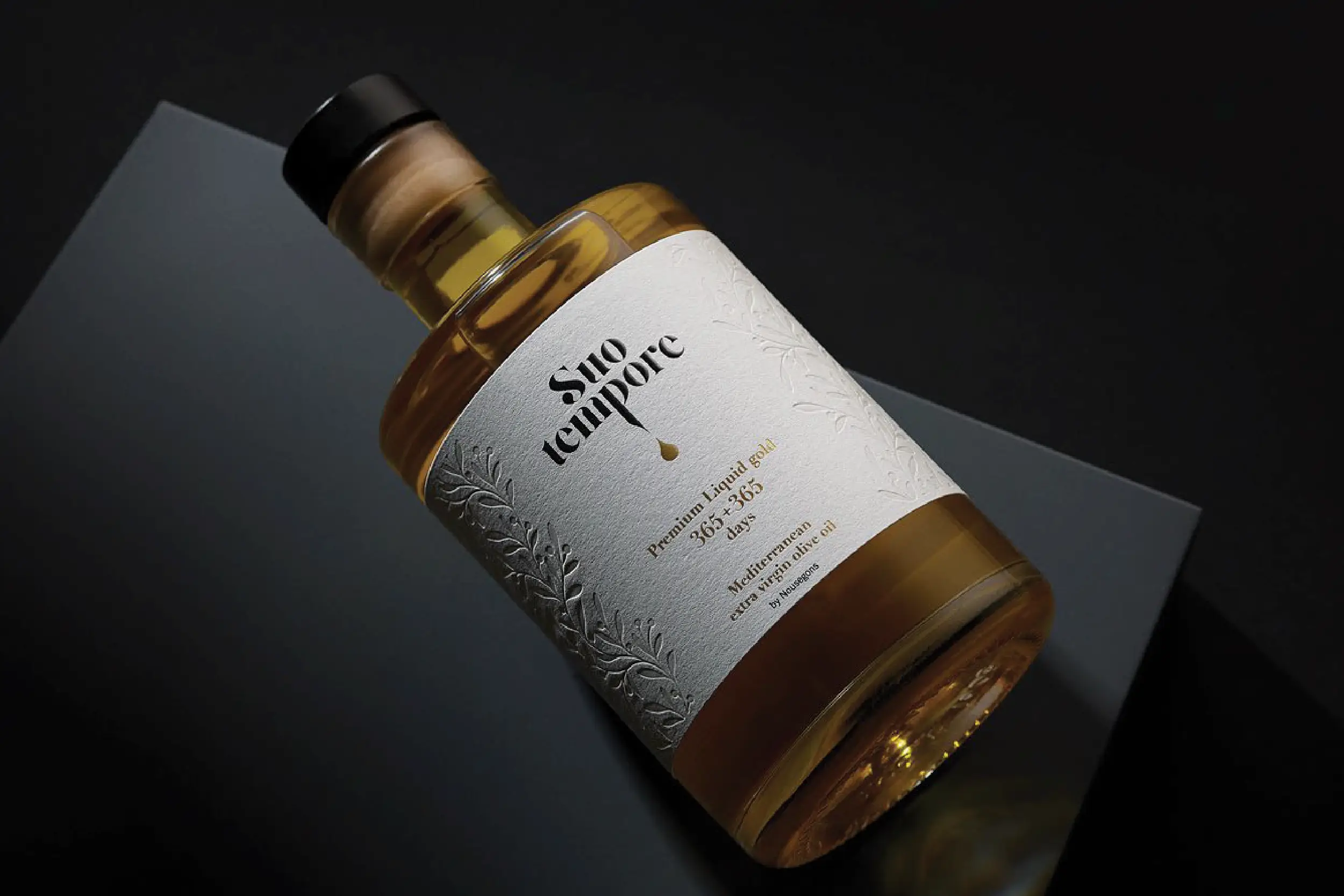 Projecte Suo Tempore