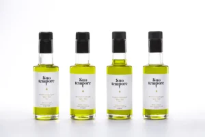 Projecte Suo Tempore