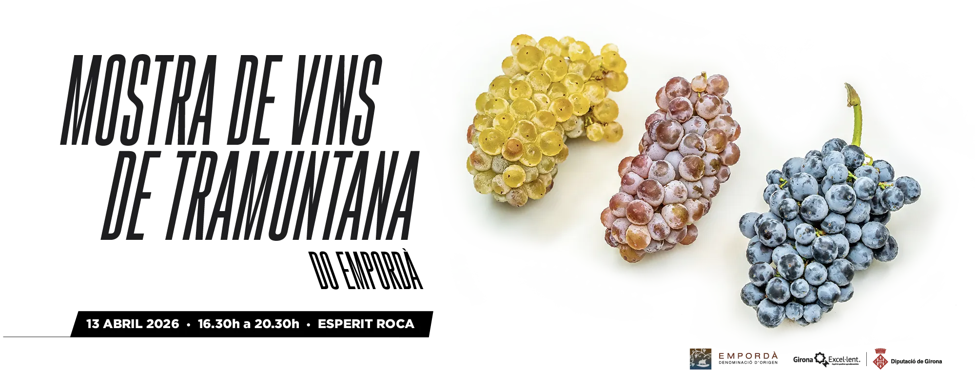 Mostra de Vins Tramuntana DO Empordà